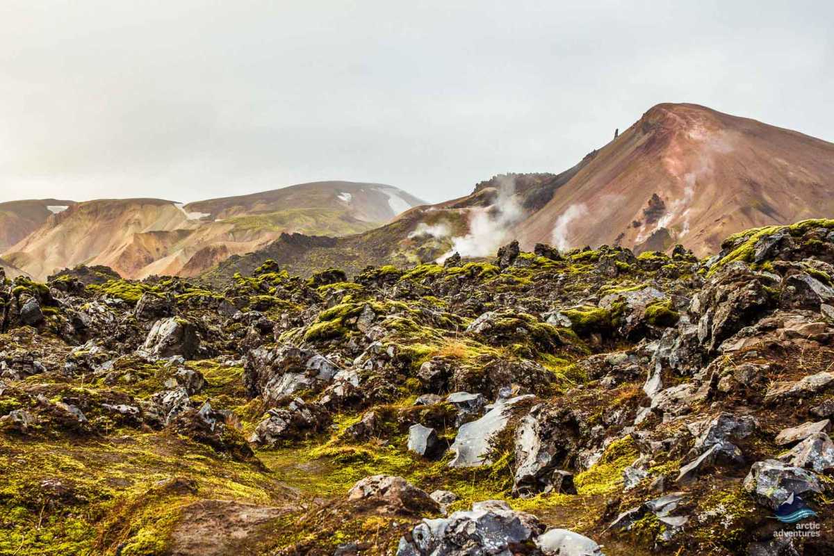 Iceland-Landmannalaugar- Laugavegur-hike-trekking-Brennisteinsalda(24)