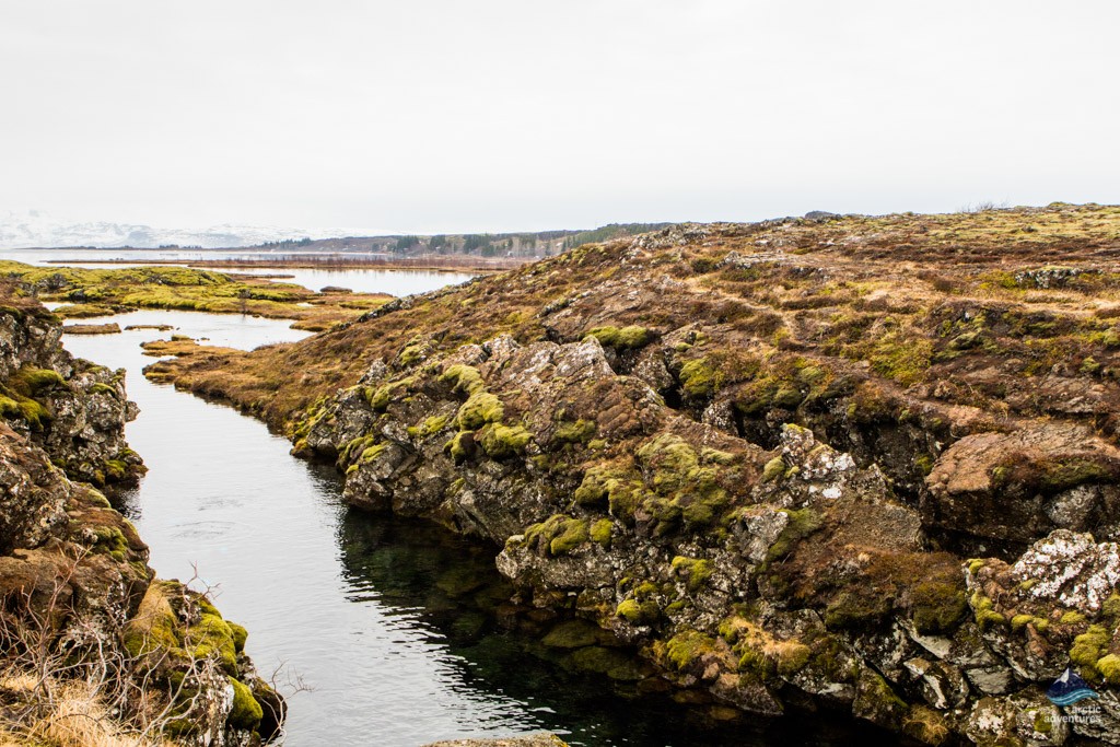 Thingvellir-national-park-Silfra-Golden-Cirlce-Iceland